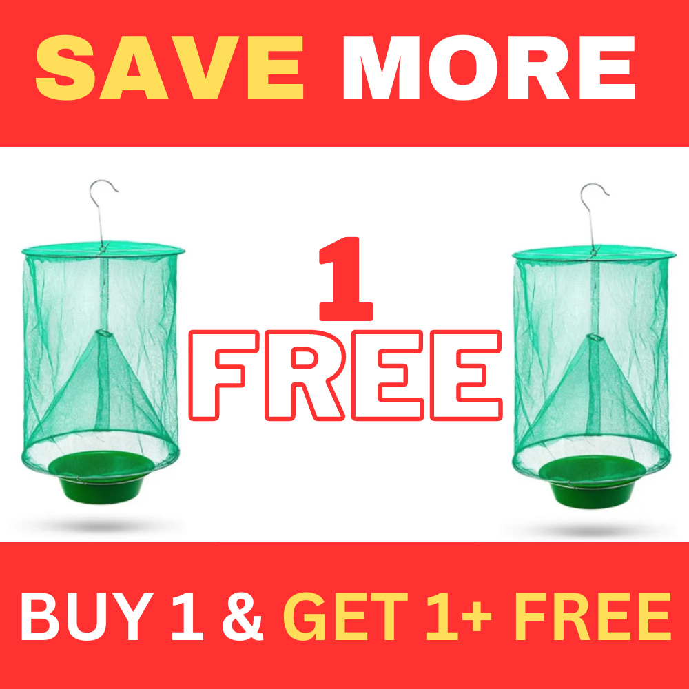 BOGO BUY 1 GET 1+ FREE FLY TRAP (2 PCS)