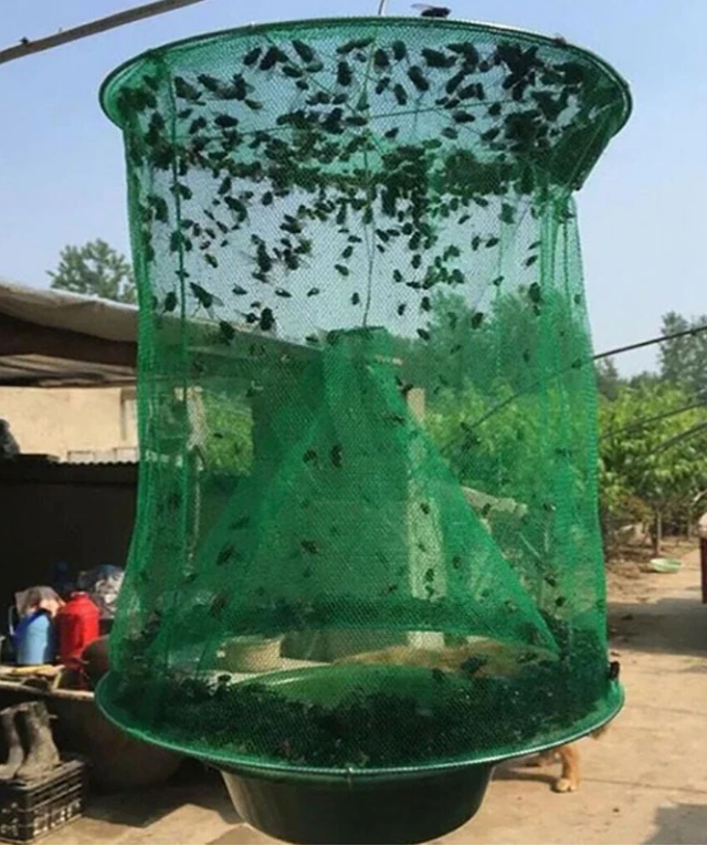 Fast Fly Catcher™ - Herbruikbaar - 100% niet-giftig en biologisch 2024 | KOOP HET NU