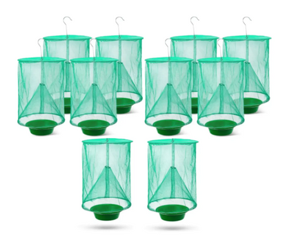 Fast Fly Catcher™ - 100% Non Toxic - Reusable - BUY 2 GET 2+ FREE (4 PCS)