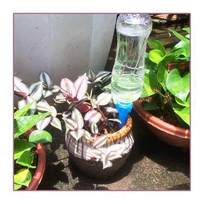 Automatic water irrigation control system