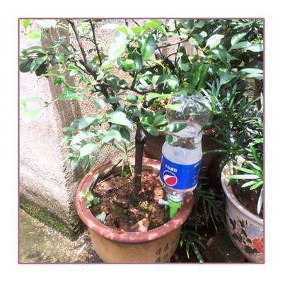 Automatic water irrigation control system