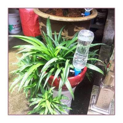 Automatic water irrigation control system